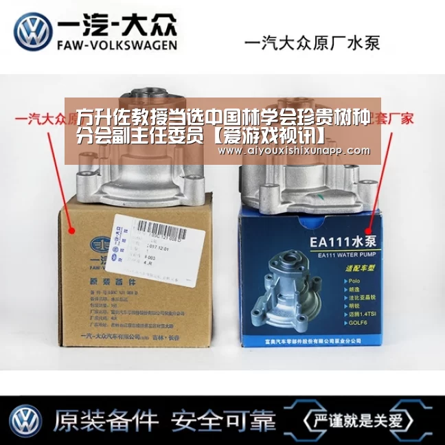爱游戏视讯