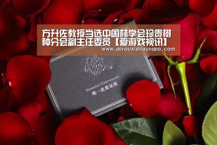 爱游戏体育