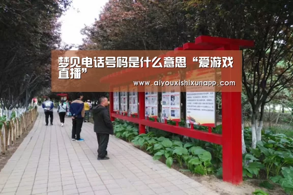 梦见电话号码是什么意思“爱游戏直播”(图3) 爱游戏体育
